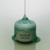 ARENCIA - Holy Hyssop Serum 30 - 50g